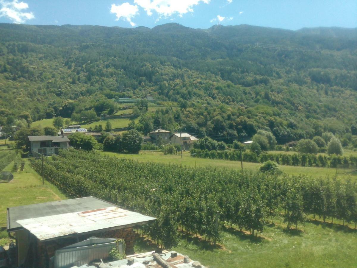Hotel Free Hugs Mazzo di Valtellina Esterno foto