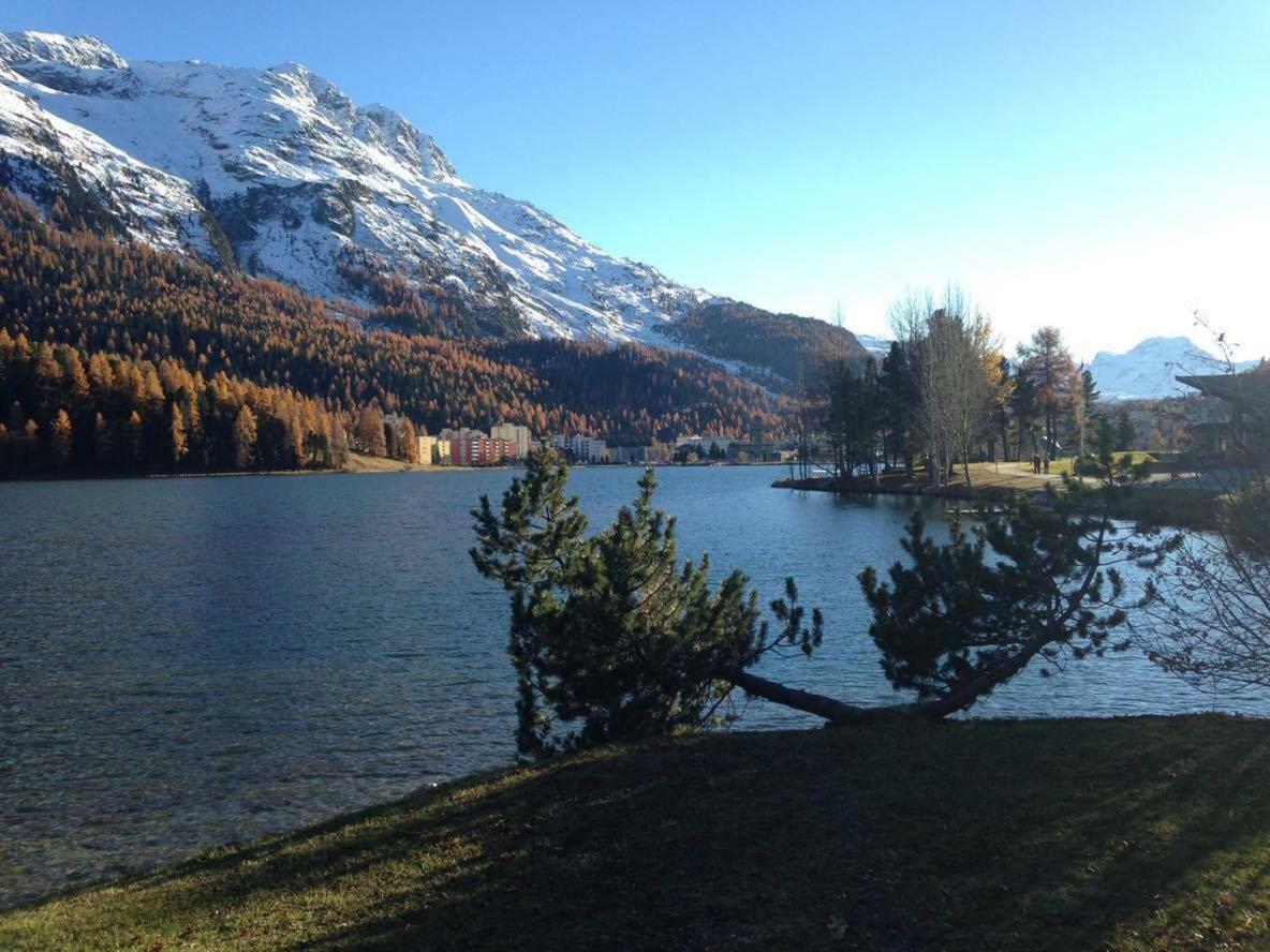 Hotel Free Hugs Mazzo di Valtellina Esterno foto